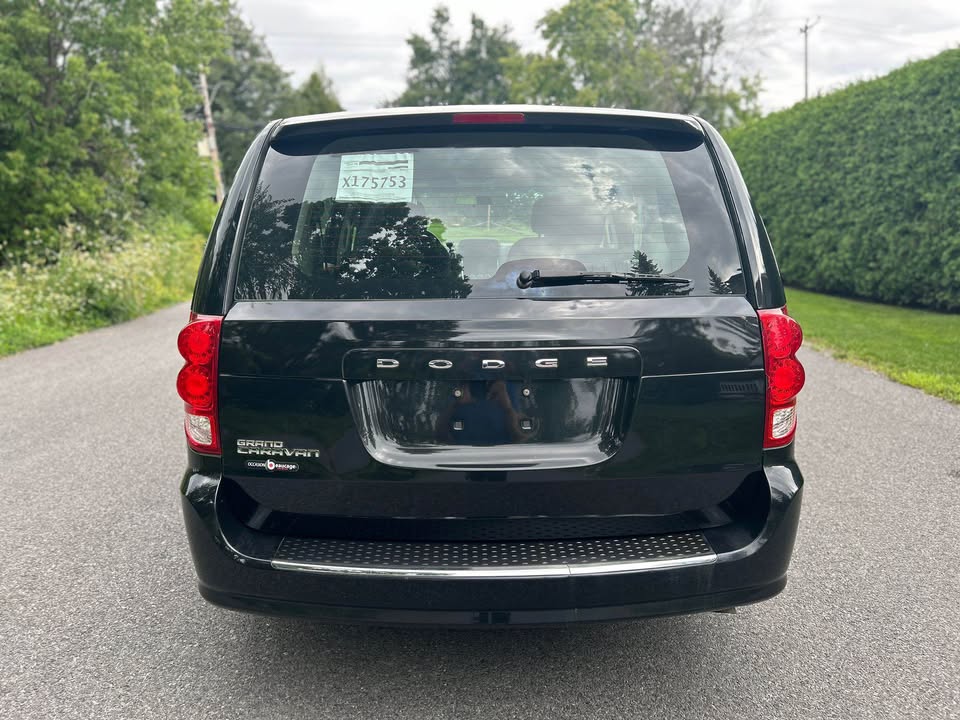 Image 7